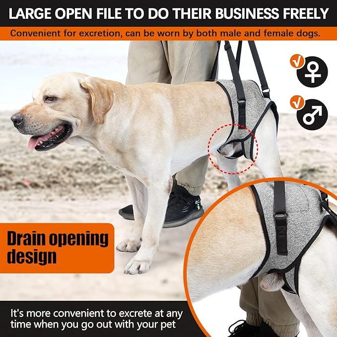 ROZKITCH Dog Lift Harness, Pet Rear Support Aid Veterinarian Approved Sling for Old K9 Help with Poor Stability, Back Leg Hip Disabled Joint Injury Elderly Arthritis ACL Rehabilitation Rehab Grey L