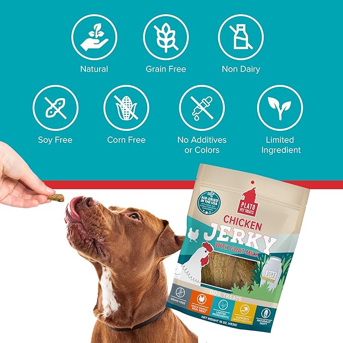 Plato Pet Treats Jerky Dog Treats - Air-Dried Jerky for Dogs - Delicious, Real Meat Dog Treats - Grain Free - Supports Healthy Digestion - Chicken Jerky with Goat Milk 16oz
