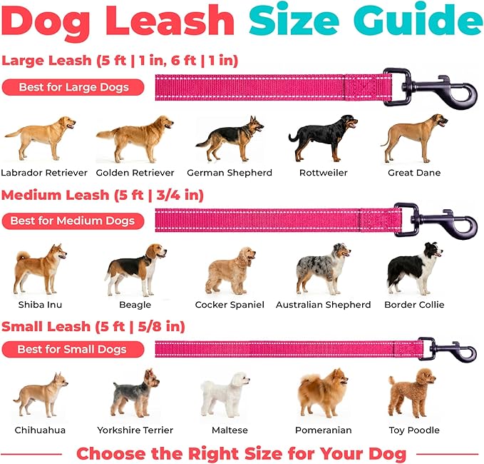 Best Pet Supplies Voyager Reflective Dog Leash or Collar with Neoprene Handle, for Small, Medium, and Large Breed Puppies, Cute and Heavy Duty for Walking, Running and Training - Fuchsia (Leash), M