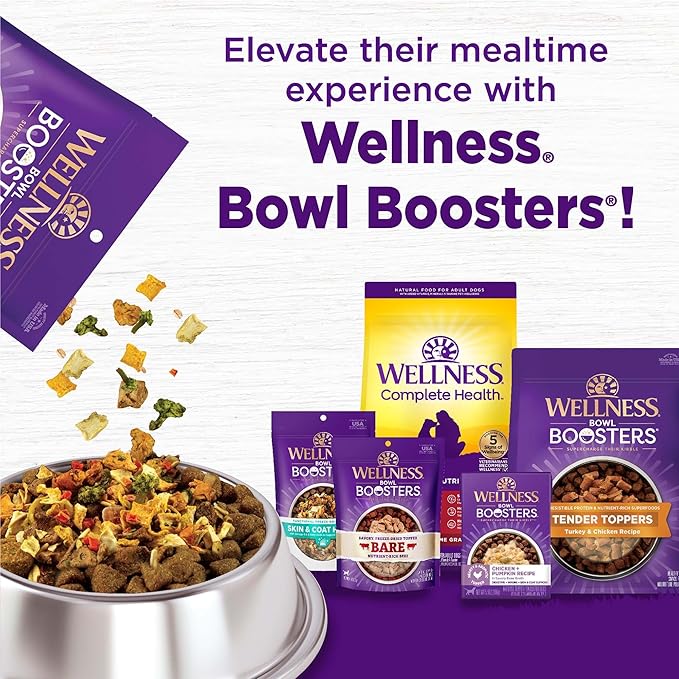 Wellness Complete Health Senior Dry Dog Food, Wholesome Grains, Natural, Age Advantage Chicken & Barley Recipe, (26-Pound Bag)