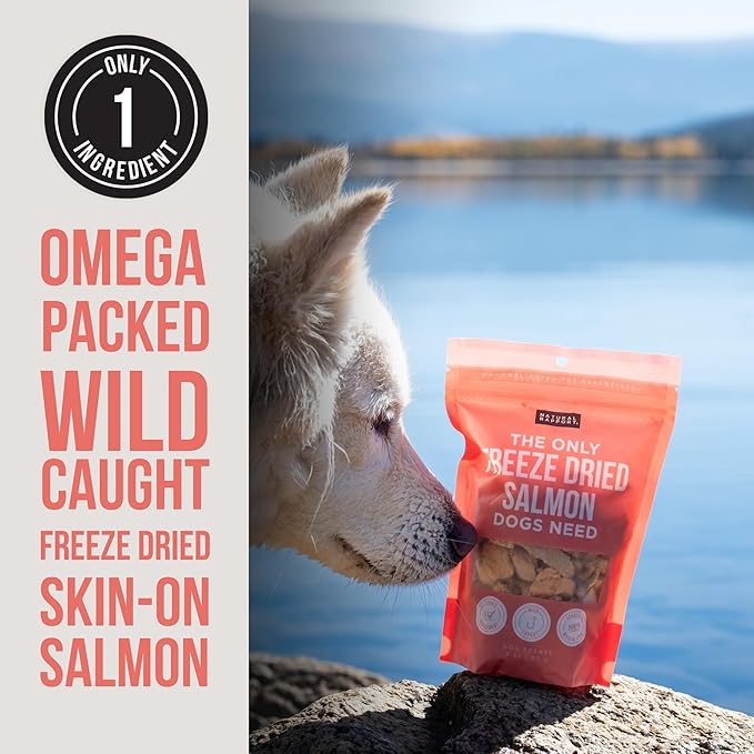 Natural Rapport Salmon Dog Treats - The Only Freeze Dried Salmon Dogs Need - All Natural Dog Treats for Small and Large Dogs (3 oz)