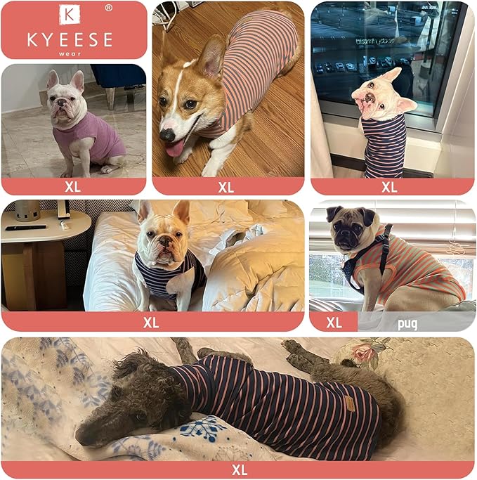 KYEESE 2Pack Dog Sweater Warm Dogs Clothes Stretchy Pets Clothes Turtleneck Dog Sweaters for Medium Dogs Girl Soft Pet Coats Turtleneck Pets Sweatshirt