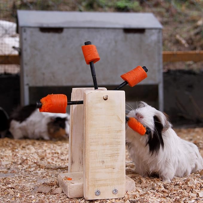 Rotating Feeding Toy for Guinea Pigs, Rabbits, Hamsters, Chinchillas, Rats, Foraging Food Holder Wheel, Guinea Pig Cage Accessories, Cavy treats, Toy for small animals