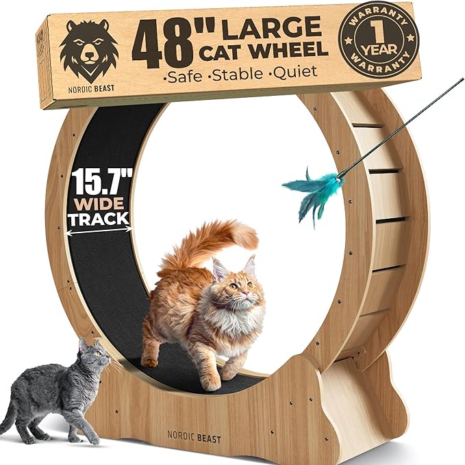 Walnut Wood 48'' XL Cat Wheel - Cat Wheels for Indoor Cats Which Doesn't Negatively Affect Your Cat's Spine - 15.7'' Extra Wide Walnut Exercise Wheel - Fits 2 Cats Side-by-Side, 1-Year Warranty