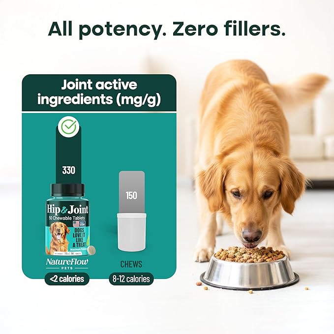 Hip & Joint Supplement for Dogs, 300mg Green-Lipped Mussel for Dog Arthritis Pain Relief, Glucosamine, MSM & Chondroitin, Zero Sugar, Large Medium Small Breeds, 100 Chewable Tablets