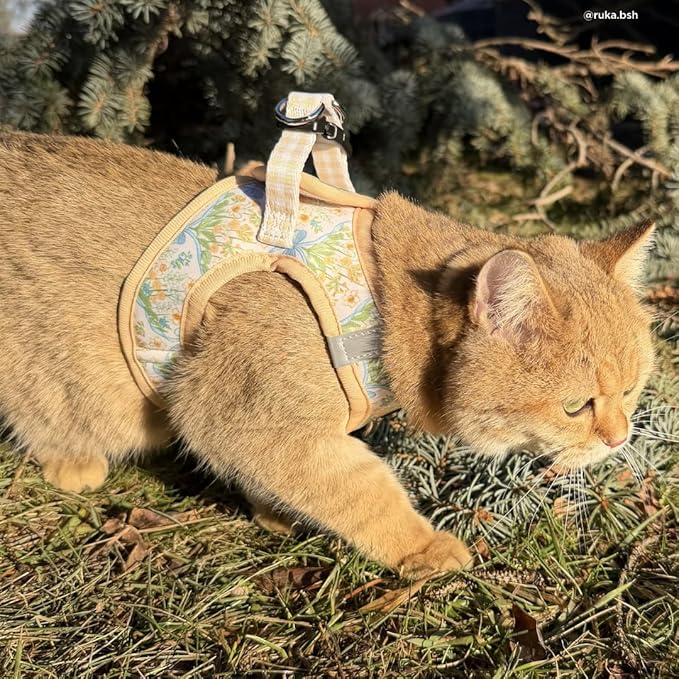 Lucy & Co. Sunshine and Daffodils Step-in Cat Harness and Leash Set Bundle, Breathable & Adjustable Harness for Cats, Kittens & Small Dogs, Lightweight & Secure and Dual Leash Clips – Large