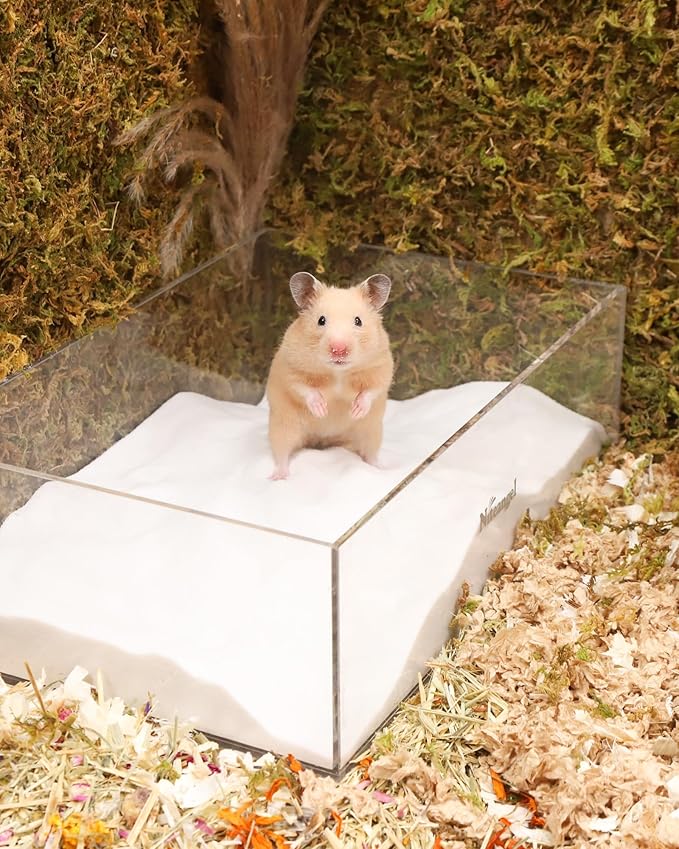 Niteangel Hamster Desert Bath Sand | No-Dust Bath or Potty Litter for Hamster Chinchillas Gerbil Mice Degu or Other Small Pets (White Sand, 2.5LB/40oz)