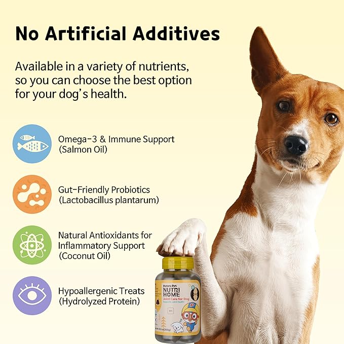 [PororoPet] NutriHome Joint Care for Dogs | Supports Joint Mobility, Flexibility & Overall Wellness | Green Lipped Mussel, MSM & Salmon Oil | 10.58oz (300g), Made in Korea