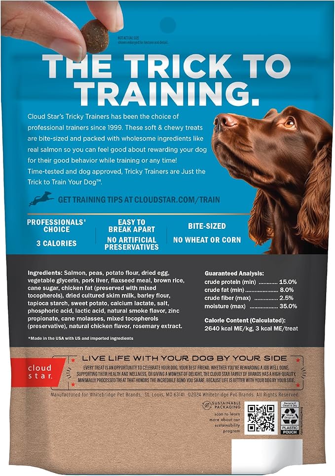 Cloud Star Tricky Trainers Chewy Dog Treats, Salmon, 14 oz. Pouch