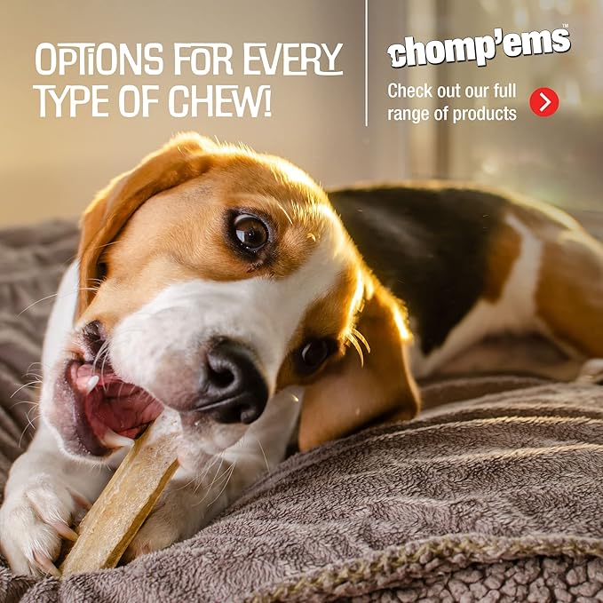 CHOMP 'EMS Chicken Hide Free Dog Chews - Rawhide Free Dog Treats - No Hide Alternative Chew Treat for All Life Stages, Roll, 4", 2 Count
