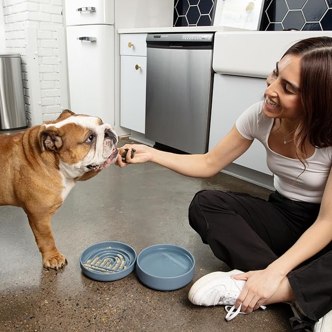 Should We Go? Dog Water Bowl - The Perfect Dish No-Spill, Less Mess Non-Tippable Water & Food Bowl, Pure Silicone with Suction Cup Fits 5 Cups 7.5" Across x 2.25" Tall Ideal for All Pets, Medium-Blush