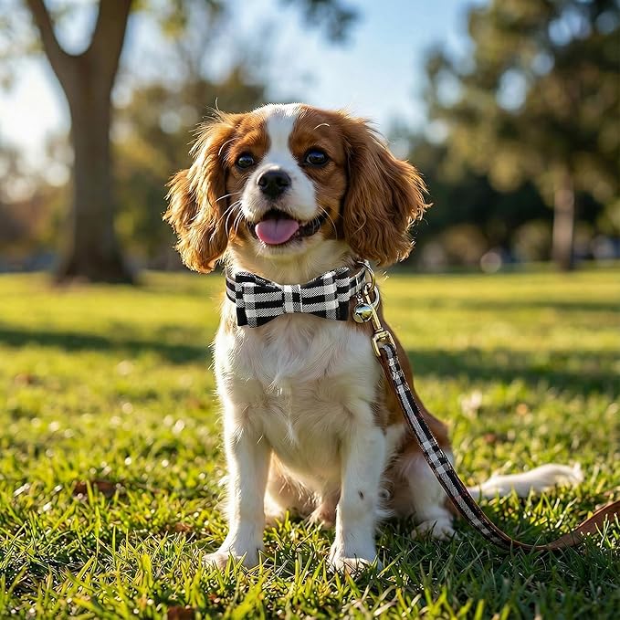 3PCS Bow Tie Dog Collar and Leash Set Plaid/Camo/Dots/Flower Dog Bandanas with Bell 3 Size Adjustable for Small Dogs Puppies and Cats (S, Black Plaid)