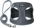 Dog Harness with Leash Set, No Pull Adjustable Reflective Step-in Puppy Pet Vest Harnesses for Small Medium Large Dogs and Cats,Grey XL