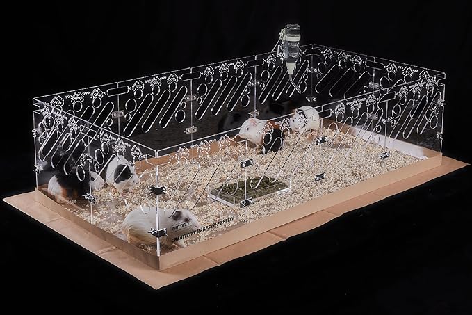 Acrylic Guinea Pig Cages - 4x2ft Small Animal Cage | DIY Extendable | Easy-to-Clean Disposable Bottom (Without Lid)