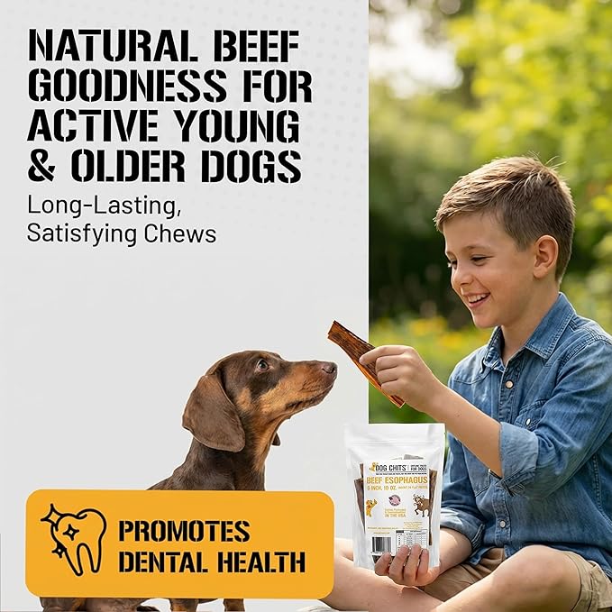 Dog Chits Beef Esophagus Chews for Dogs & Puppies - All Natural Single Ingredient - High Protein, Low Fat Beef Jerky Chew - Safe for All Breeds - Great for Joint - Dental Clean Crunch - 6 inch, 10 oz