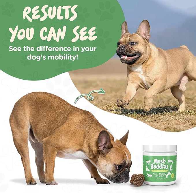 Hip and Joint Supplement for Dogs - Glucosamine for Dogs Plus Chondroitin - Dog Joint Supplement, Vitamins with Collagen, Green Lipped Mussels, Functional Mushrooms, Turmeric, MSM, Salmon Oil - 60 Ct
