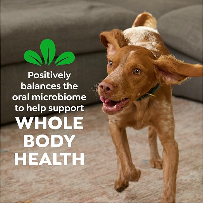 Greenies Veterinarian-Recommended Adult Natural Dental Dog Treats Petite Size, Dog Dental Chews, Original Flavor, 3 oz. Pack, 5 Count