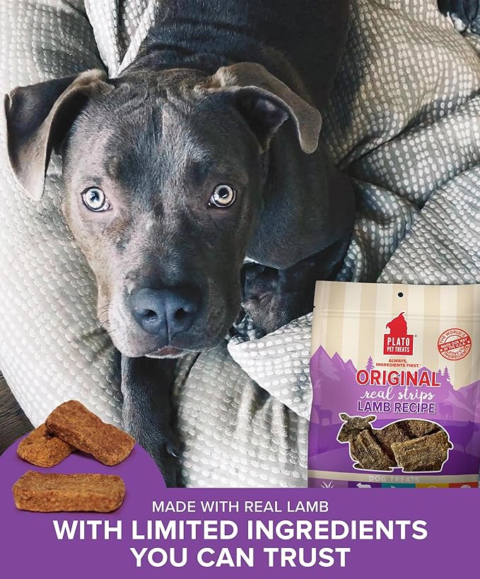 PLATO Pet Treats Real Strips Dog Treats – Lamb – Air-Dried High Protein Dog Treats – Limited Ingredient, Nutrient Dense, No Artificial Flavours– Made in USA – 6 oz