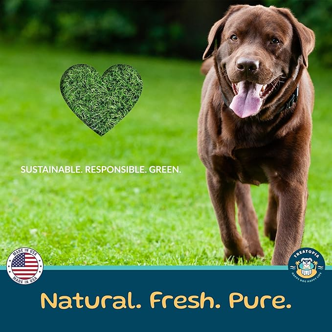 TREATOPIA Lamb Lung Nuggies Bites Dog Treats, 4 LB Bag - All-Natural, Sustainable, Healthy, High Protein, Hand-Trimmed, Slow-Roasted, Made in The USA, Nutritious, No Additives, No Fillers