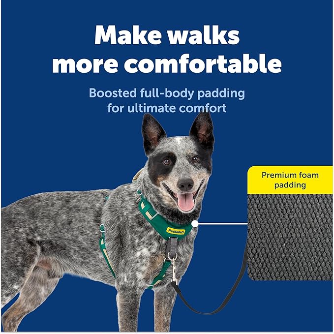 PetSafe Easy Walk Comfort No-Pull Dog Harness Full-Body Padding - Better Walks on the First Use - 5 Points of Adjustment Medium/Large, Green