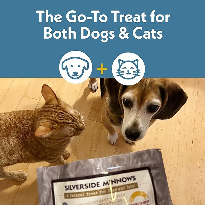 Fresh Is Best Silverside Minnows Freeze Dried Dog Treats – Raw Freeze Dried Cat Treats in Resealable Zipper Bag – High-Protein Minnows for Cats and Dogs – Made in The USA