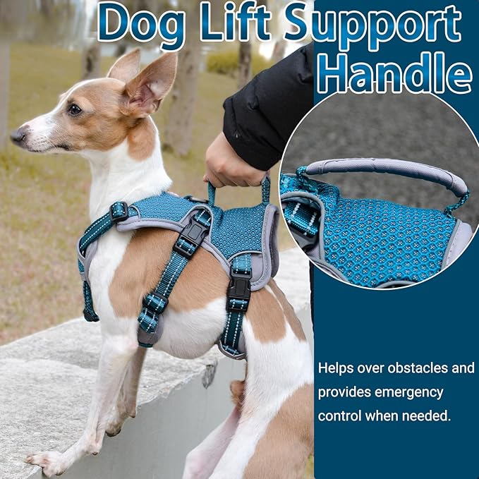 BELPRO Multi-Use Support Dog Harness, Escape Proof No Pull Reflective Adjustable Vest with Durable Handle, Dog Walking Harness for Big/Active Dogs (Blue, S)