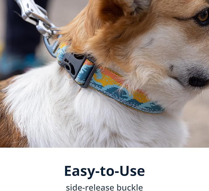 Ruffwear, Crag Dog Collar, Stylish Adventure Collar with Premium Reflective Design, Quick Release Buckle, Lightweight All-Day Comfort, Grassy Oxbow, 20"-26"
