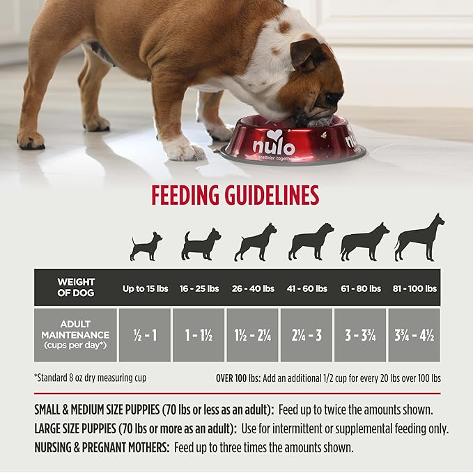 Nulo Freestyle Limited Ingredient Dry Dog Food - High Protein Lamb Recipe, Natural Grain Free Dog Food for Puppies & Adults, Small, Medium and Large Breed Kibble, 5.5lb Bag
