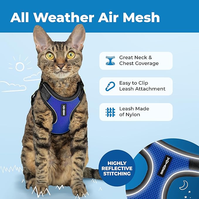 Voyager Escape-Proof Step-in Lock Cat Harness & 5ft Neoprene-Handle Leash Set All-Weather Mesh with Reflective Stitching for Small to Large Cats by Best Pet Supplies, Black Trim-Royal Blue (327), XXS