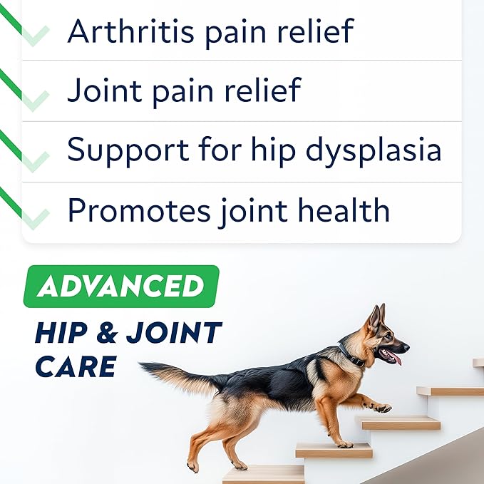 STRELLALAB Senior Advanced Glucosamine Joint Supplement for Dogs - Green Lipped Mussel & Collagen - Large Breeds - Hip & Joint Health - Bacon Flavor - 180 Chews