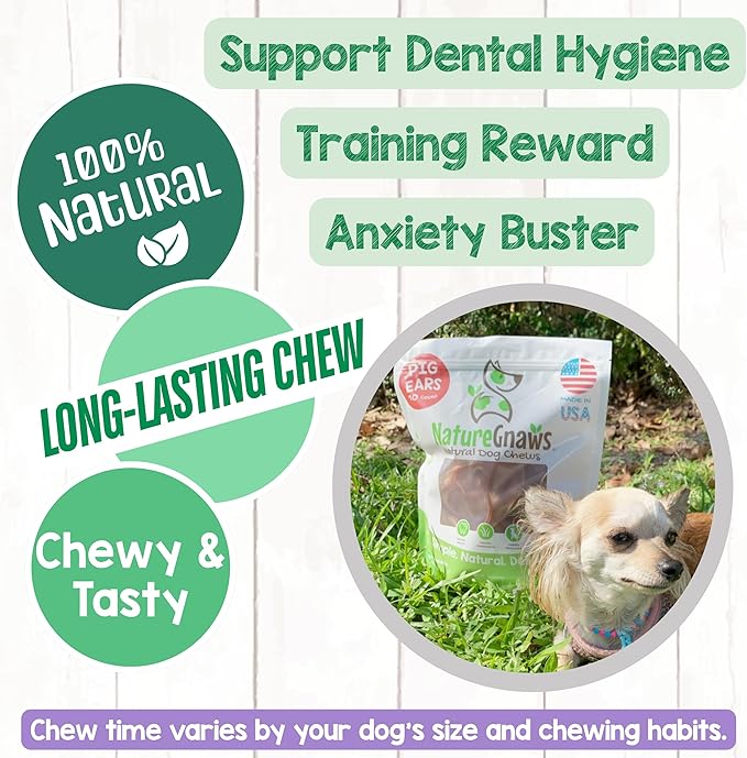 Nature Gnaws USA Pig Ears for Dogs (10 Count) - Thick Long Lasting for Aggressive Chewers and Large Dogs - Premium Natural Pork Dog Chew Bones - Rawhide Free
