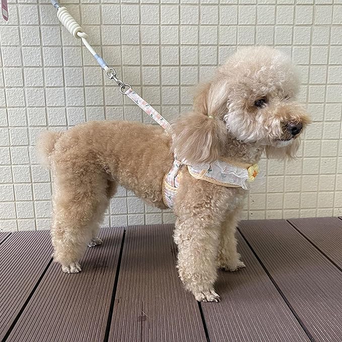 Cat Harness Collar and Leash Set, Sweet Lace Floral Kitten Collar, Escape Proof Puppy Chest Harness, Adjustable Cute Harness Leash Set for Cat Puppy Dog Outdoor Walking (Yellow, M)
