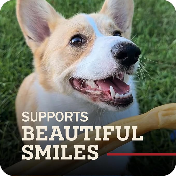 Redbarn Pet Products All-Natural Small 6" Beef Collagen Sticks for Dogs - Long Lasting Low-Odor Alternative to Traditional Rawhide & Bully Sticks - Supports Healthy Joints, Skin, & Coat - 5 Pack