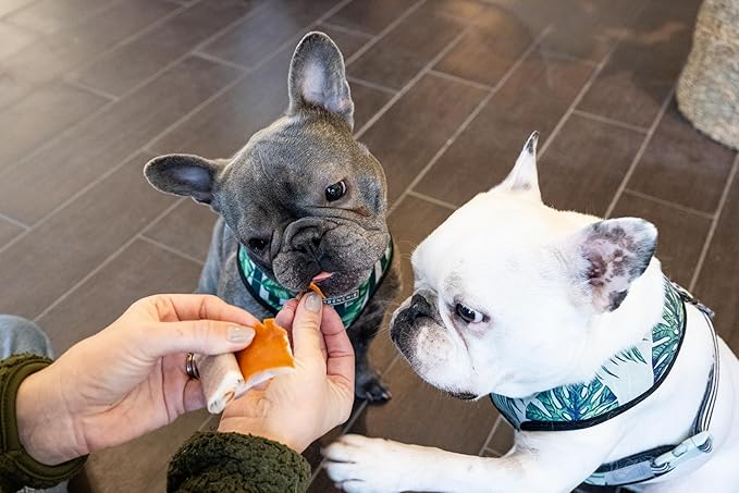 Stashios: Wrap-Ups: Pill Wrapper - Bacon Cheeseburger - 30 Servings Bag, Dogs & Cats, Treat Hides Any Size Pills, All Natural Limited Ingredients, USA