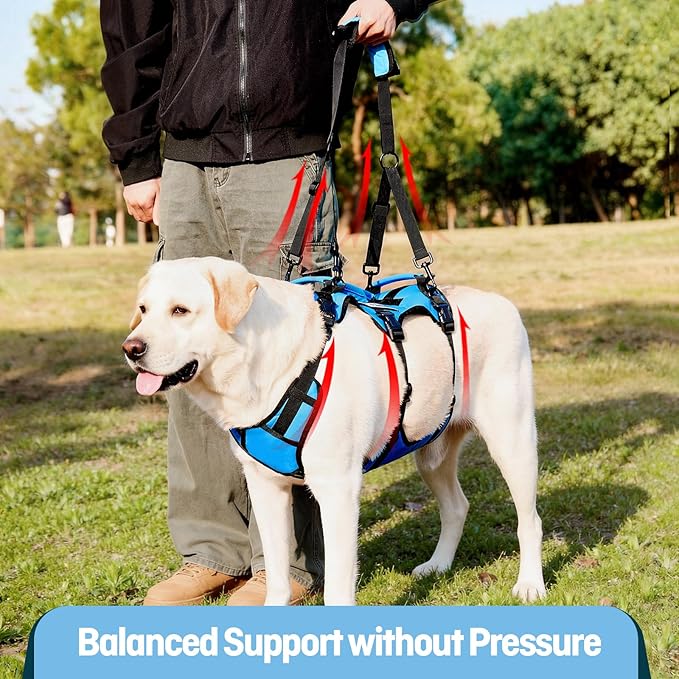 Dog Lift Harness for Medium Dogs, Full Body Support Sling with 3 Handles and Shoulder Strap, Carrying Vest for Senior Dogs with Arthritis or Joint Injuries, Stairs Assistance, Blue, Medium