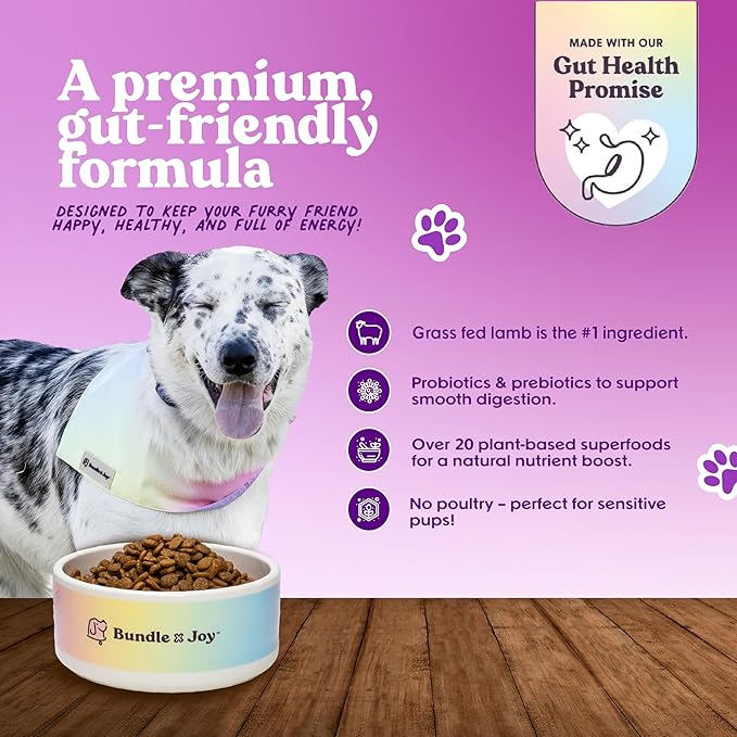 Bundle x Joy Brave Probiotic Dog Food Dry, Lamb, 8lb Bag, Allergy and Gut-Friendly Adult Kibble for Digestive Health with Grass-Fed Lamb, 20 Plant Based Superfoods, Poultry and Grain Free