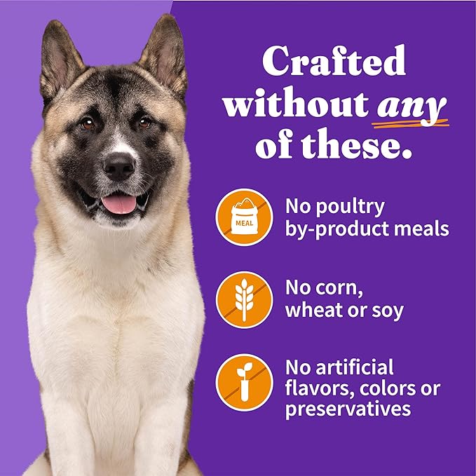 Halo Senior Wet Dog Food Whole Chicken Recipe, Grain Free Real Meat Canned Dog Food for Senior Dogs, Meal or Topper, 13.2 Oz Can (Pack of 6)