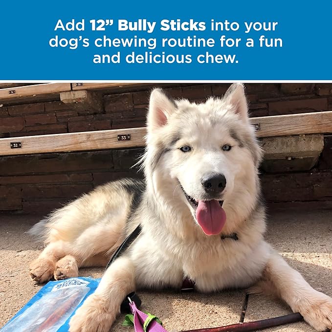 Best Bully Sticks 12 Inch Bully Sticks for Dogs - 25 Count (Pack of 1) - Natural, Easily Digestible, Grass-Fed, Grain and Rawhide Free