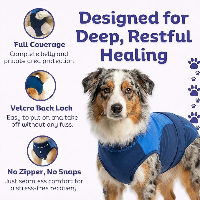 Surgi Snuggly Dog Surgery Recovery Suit – Dog Onesie for Post Surgery Recovery, Female Spay & Male Neuter – Surgical Suit for Dogs, E-Collar Cone Alternative, Double Blue - Large Long - 21" - 24" (EC)