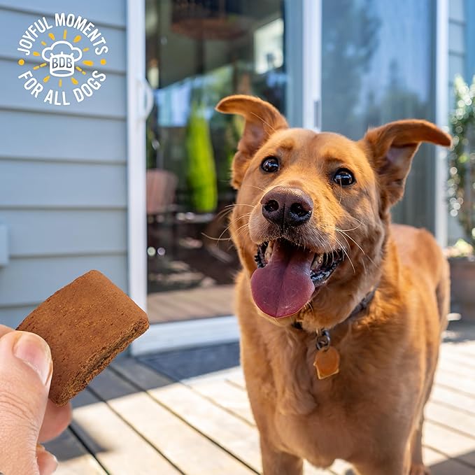 Blue Dog Bakery Pun'Kin Softies, Pumpkin Flavor, 10 Ounces