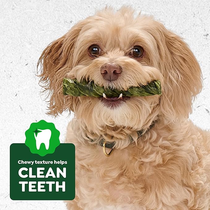 Greenies Occupy Twists Natural Dog Treats Large Breed Size Dog Chews Long Lasting Chicken Flavor, 8.55 oz. Pack, 4 Count
