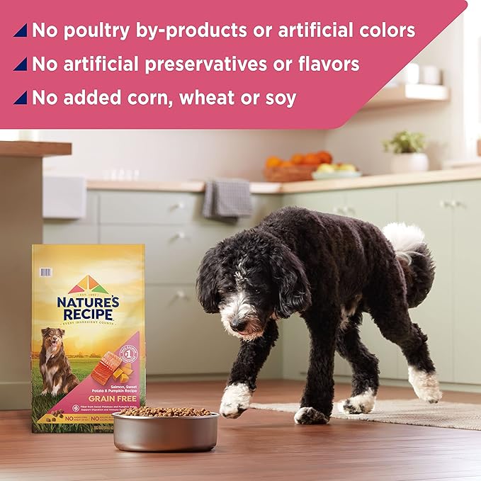 Nature's Recipe Grain Free Dry Dog Food, Salmon, Sweet Potato & Pumpkin Recipe, 34 lb. Bag