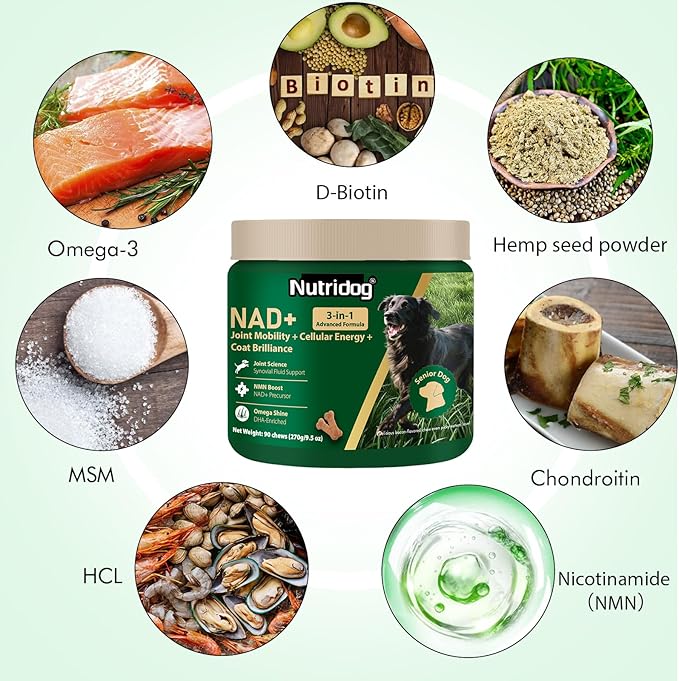 NMN Supplement for Dogs NAD+ Booster - Anti-Aging & Longevity Soft Chews for Senior Dogs with Resveratrol, CoQ10, Glucosamine & Omega-3-3-in-1 Cellular Energy, Joint & Skin Support