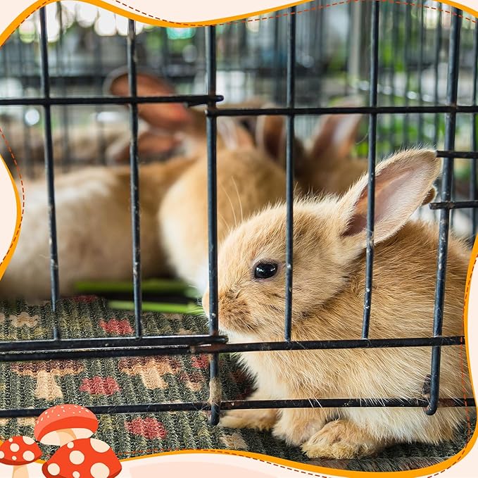 Drydiet 2 Pcs 16 x 12''Rabbit Scratch Mat Natural Bunny Scratching Pad Claws and Teeth Care Rabbit Mats for Cages Chew Toys Bunny Pet Cage Bedding for Biting Sleeping Nesting