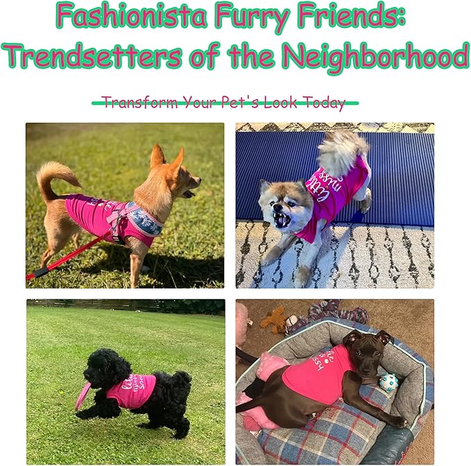 Paiaite Dog Clothes Fashionable Sleeveless Pet Vest: 'Little Miss Sassy' Printed Cotton Dog Shirt, Ideal for Small, Medium, and Large Breeds, Ensuring Comfort and Breathability Orange XS