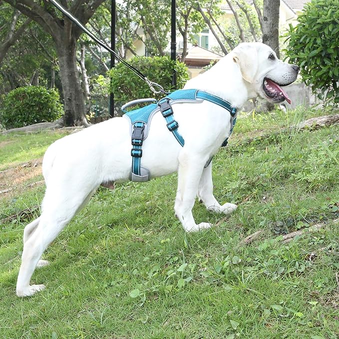 BELPRO Multi-Use Support Dog Harness, Escape Proof No Pull Reflective Adjustable Vest with Durable Handle, Dog Walking Harness for Big/Active Dogs (Blue, XL)