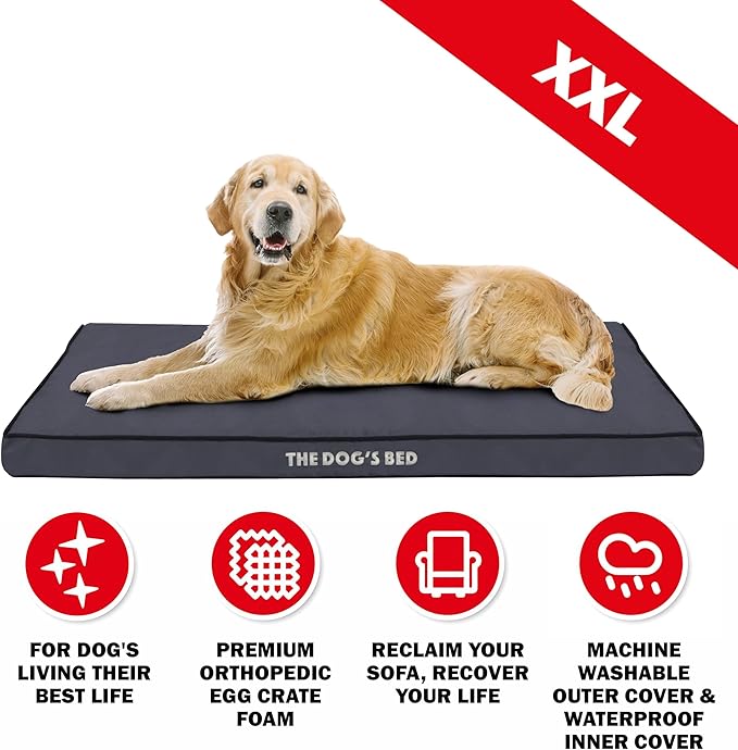 The Dog’s Bed Orthopedic Standard Foam Dog Bed Mattress, Oxford Fabric, Grey with Black Trim, XXL