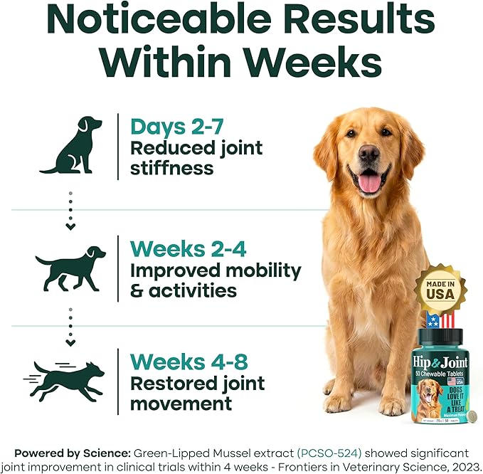 Hip & Joint Supplement for Dogs, 300mg Green-Lipped Mussel for Dog Arthritis Pain Relief, Glucosamine, MSM & Chondroitin, Zero Sugar, Large Medium Small Breeds, 200 Chewable Tablets