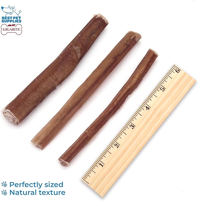 GigaBite 6 Inch Slim Odor-Free Bully Sticks (25 Pack) - All Natural, Free Range Beef Pizzle Dog Treat by Best Pet Supplies