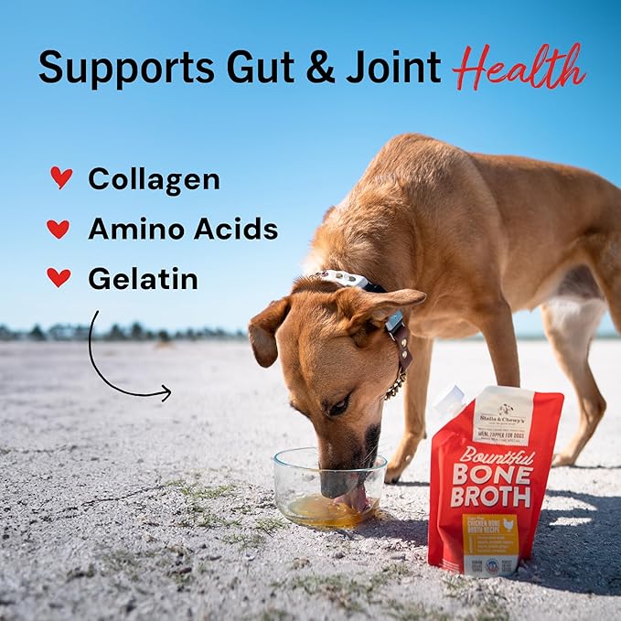 Stella & Chewy's Premium Cage-Free Chicken Bone Broth for Dogs - Joint & Gut Health Support Liquid Food Topper with Collagen & Turmeric, 16 Fl Oz Resealable Pouch (Pack of 6)